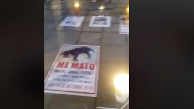 Protesta en el Palacio de Gobierno de Oaxaca por la muerte de la perrita.