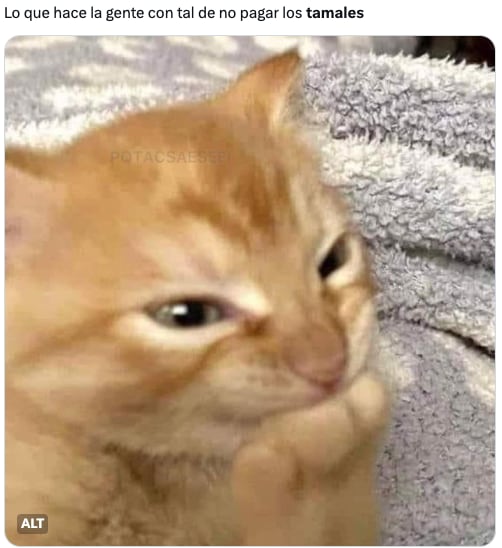 Memes de tamales por Día de la Calendaria