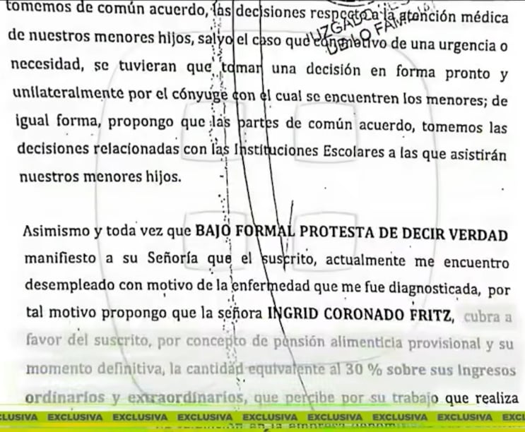 Demanda de Fernando del Solar a Ingrid Coronado.