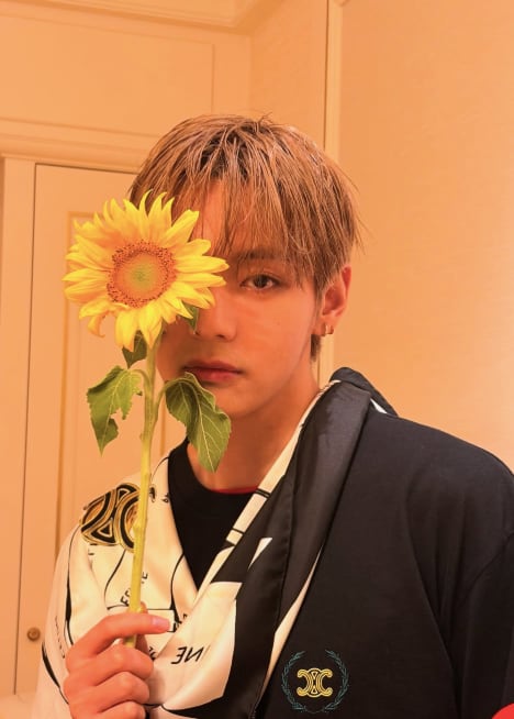 Kim Tae-hyung, V, de BTS