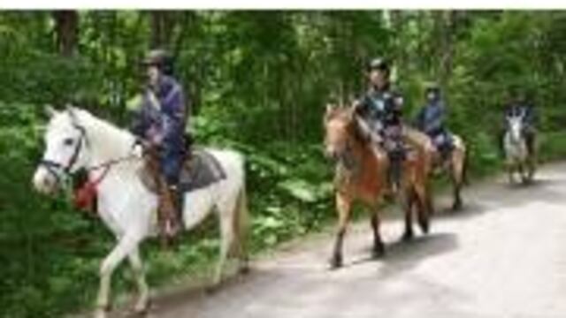 Dejan a su hijo en bosque.