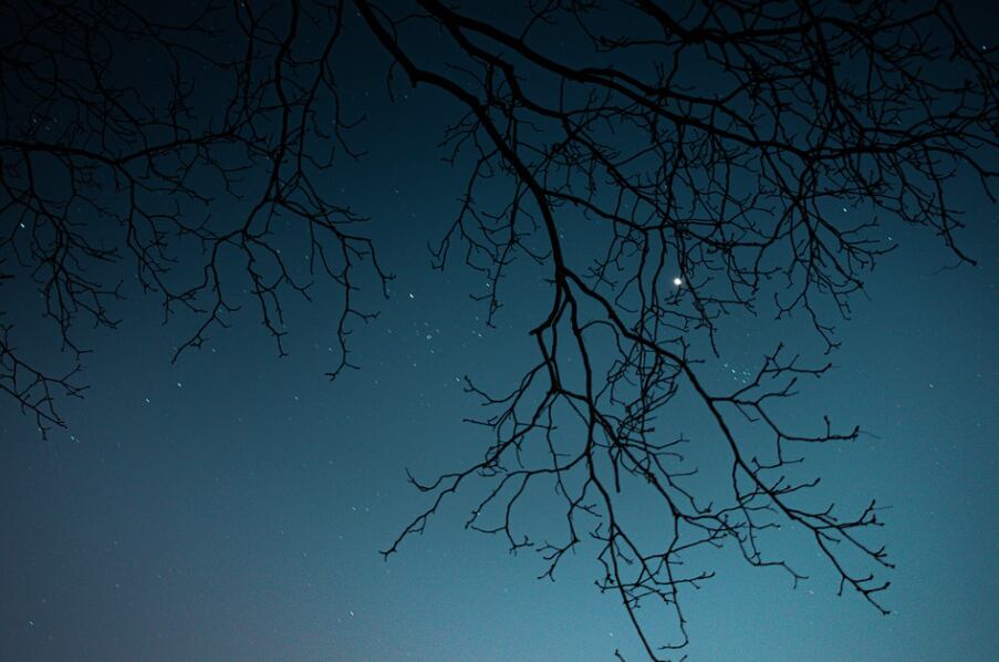 Cielo