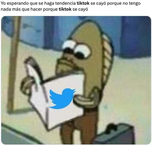 Memes de la caída de TikTok