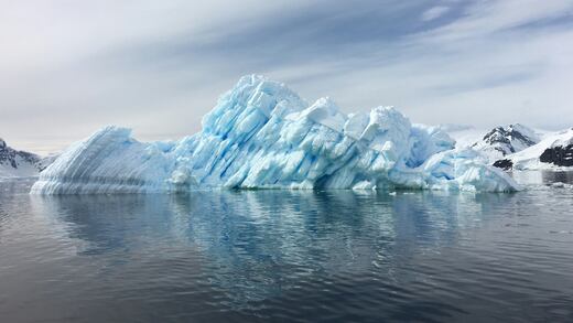 Una nueva criatura marina fue descubierta en la Antártida y deberíamos estar preocupados