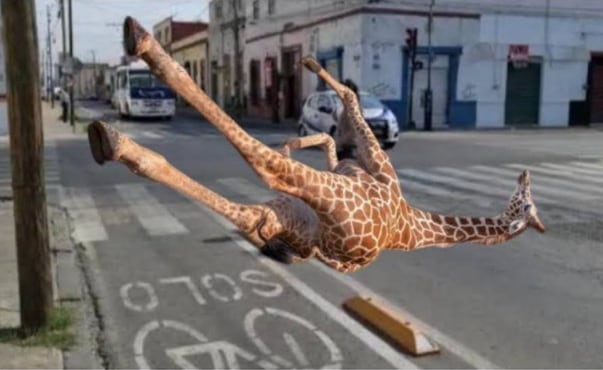 Memes de la Jirafa Benito