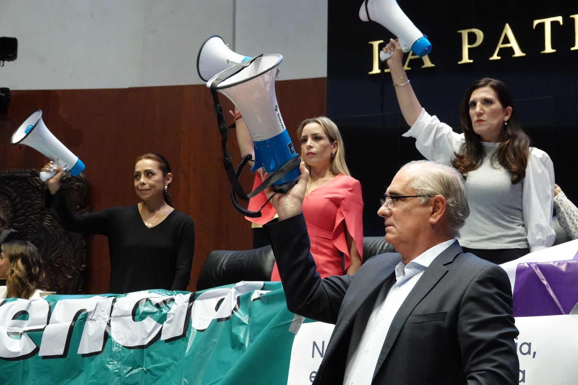 Oposición en la Cámara de Senadores