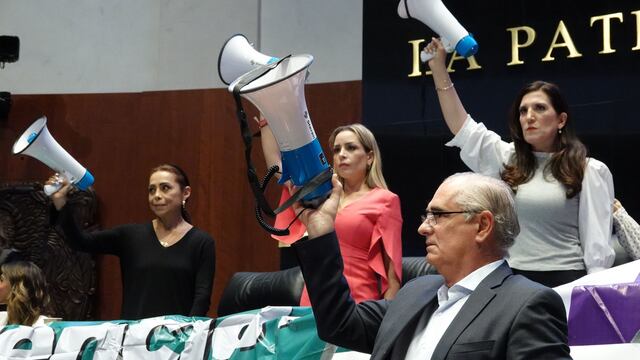 Oposición en la Cámara de Senadores