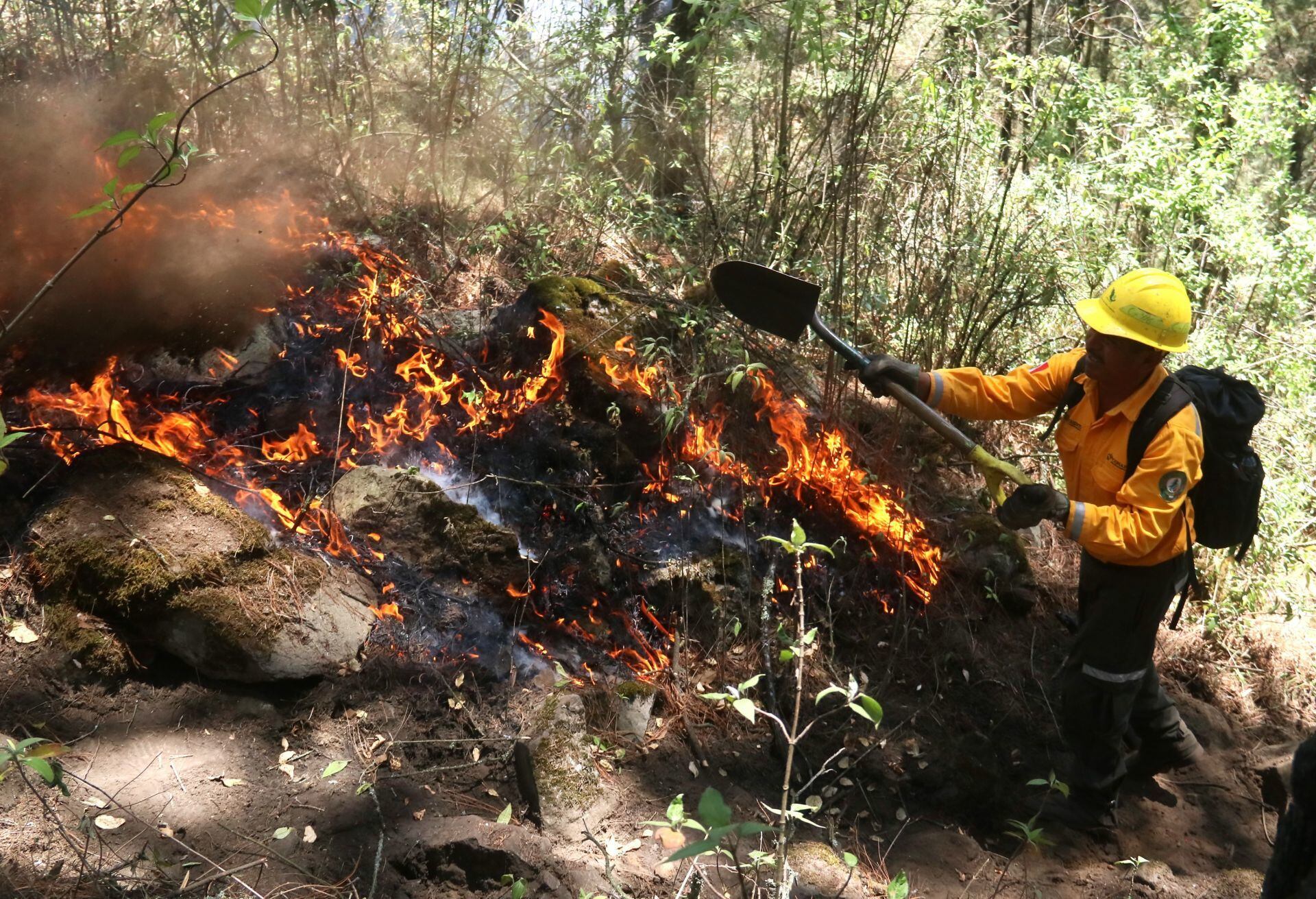 Incendio forestal en México