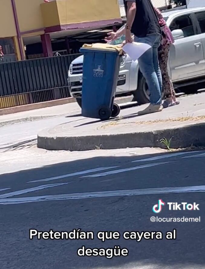 Ratón logra regresar a la casa