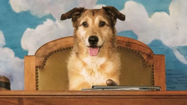 El juicio de un perro, película