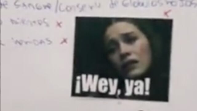 Maestra califica con memes