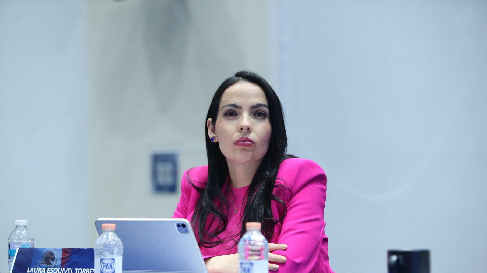 ¿Quién es Laura Esquivel Torres? Senadora del PAN