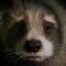 ¿De qué trata Guardianes de la Galaxia 3? Rocket Raccoon es el protagonista