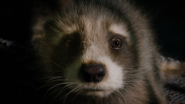 ¿Quién es el Alto Evolucionador en los  Guardianes de la Galaxia vol. 3?