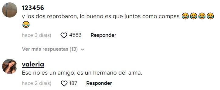 Comentarios