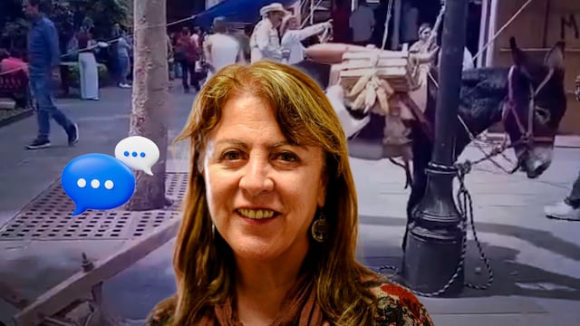 Margarita González Saravia enfrenta críticas por usar un burro como utilería durante horas