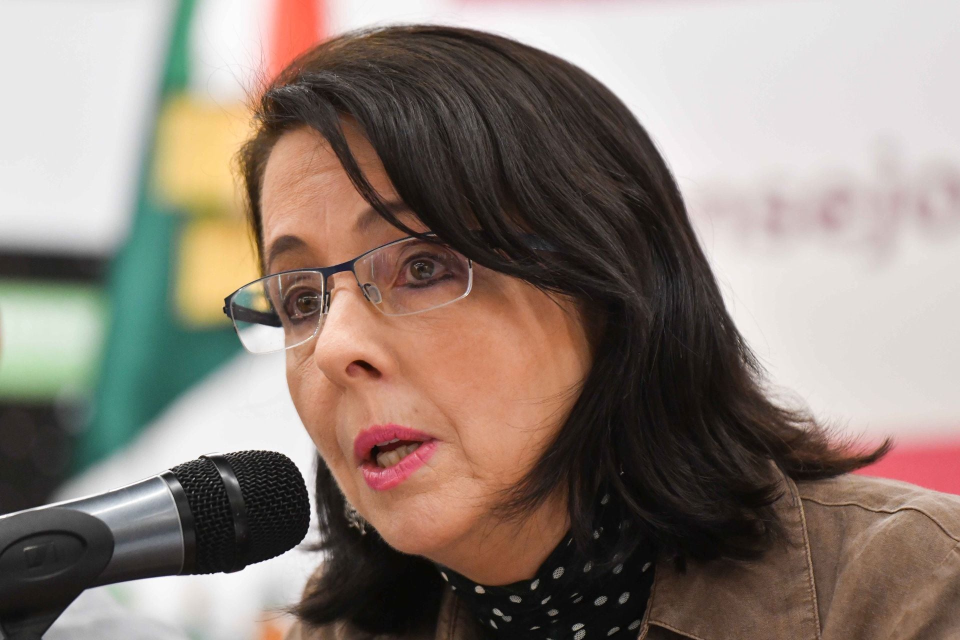 María Elena Álvarez-Buylla, exdirectora de Conacyt.