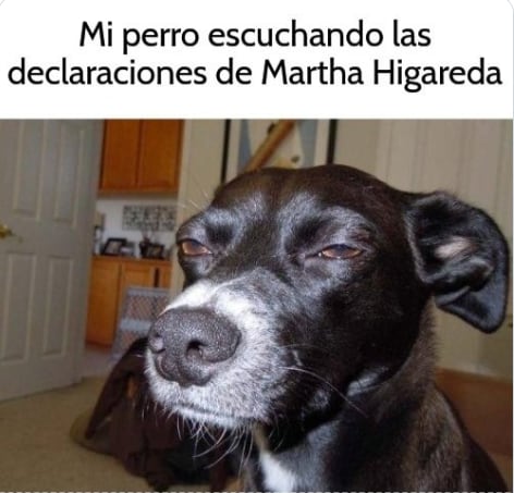 Memes de Martha Higareda discuten sí es mitómana o no