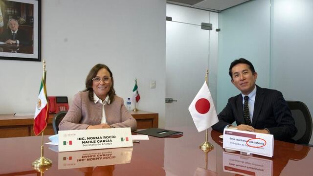 Rocío Nahle se reunió con el embajador de Japón en México