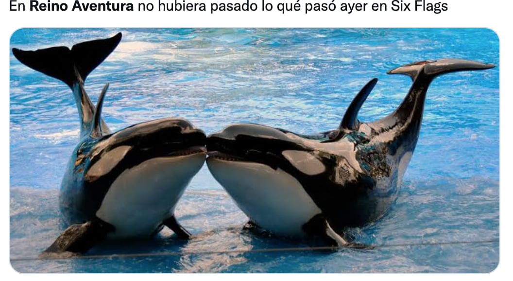 Usuarios piden el regreso de Reino Aventura
