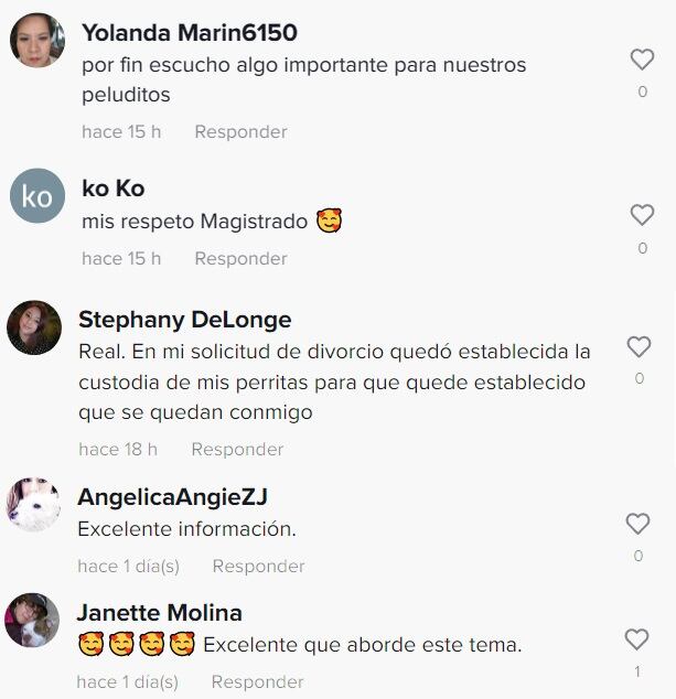 Usuarios agradecen en los comentarios el video de Arturo Zaldívar para saber quién se queda con el perro