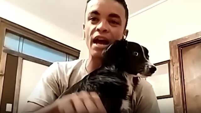 Llega a Estados Unidos con su perrita