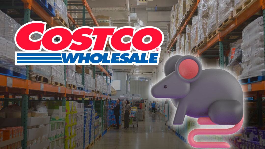 En Costco hasta las ratas son de tamaño grande y un video en Puebla lo demostró