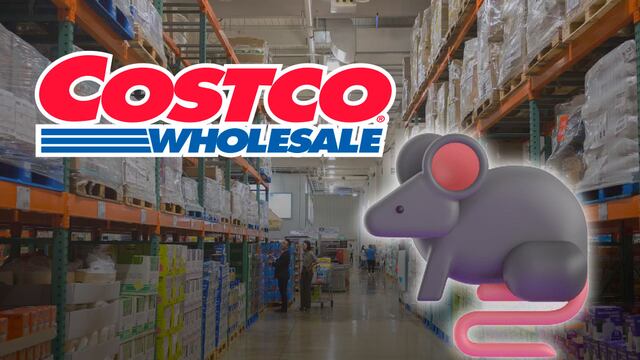 En Costco hasta las ratas son de tamaño grande y un video en Puebla lo demostró