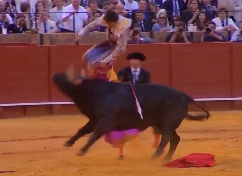 Roca Rey herido por un toro