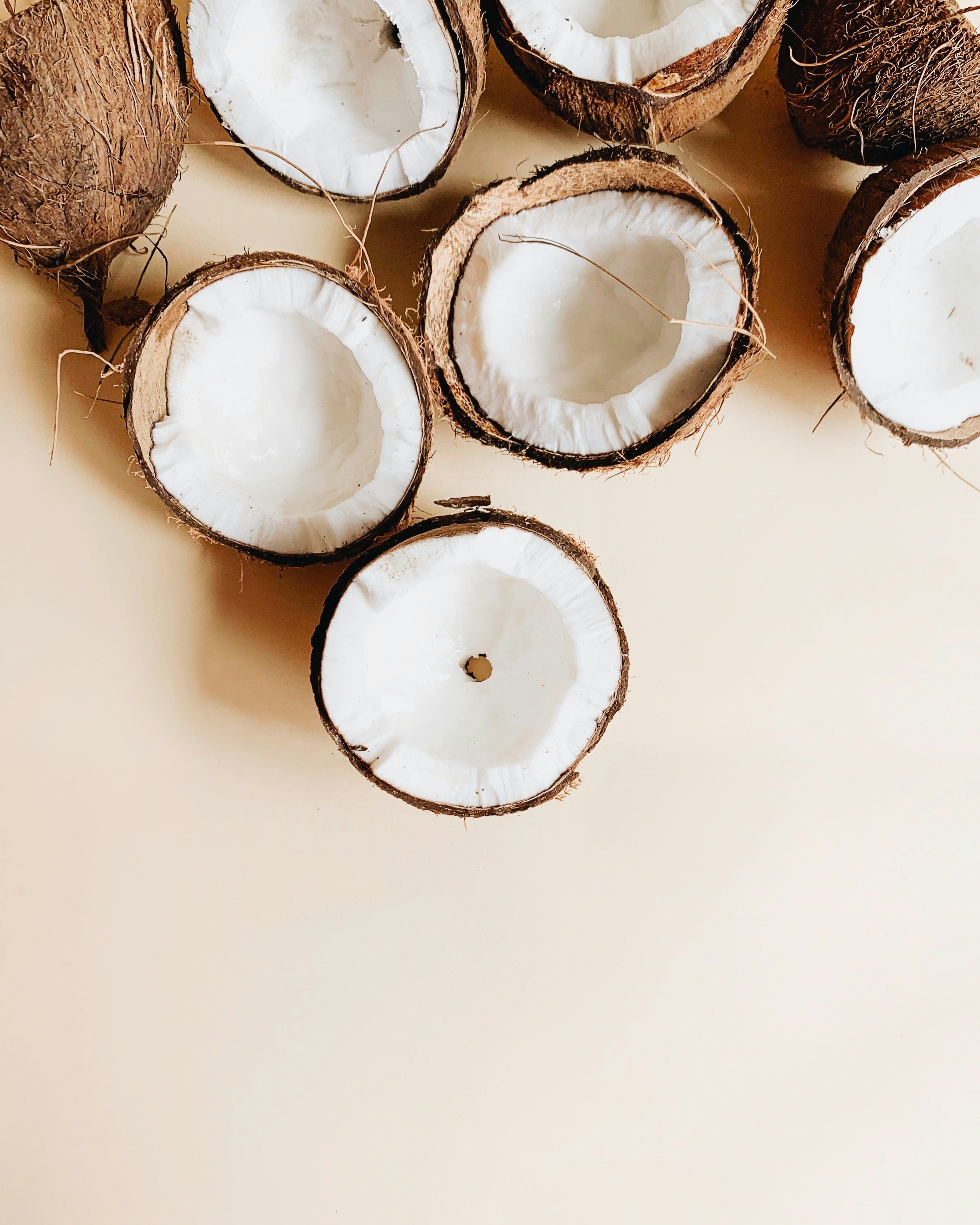 Día Mundial del Coco