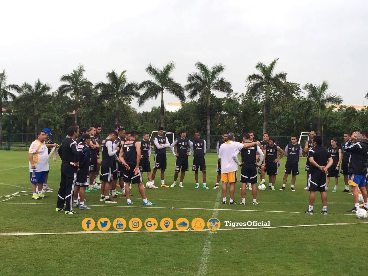 Rafael Sobis en Tigres