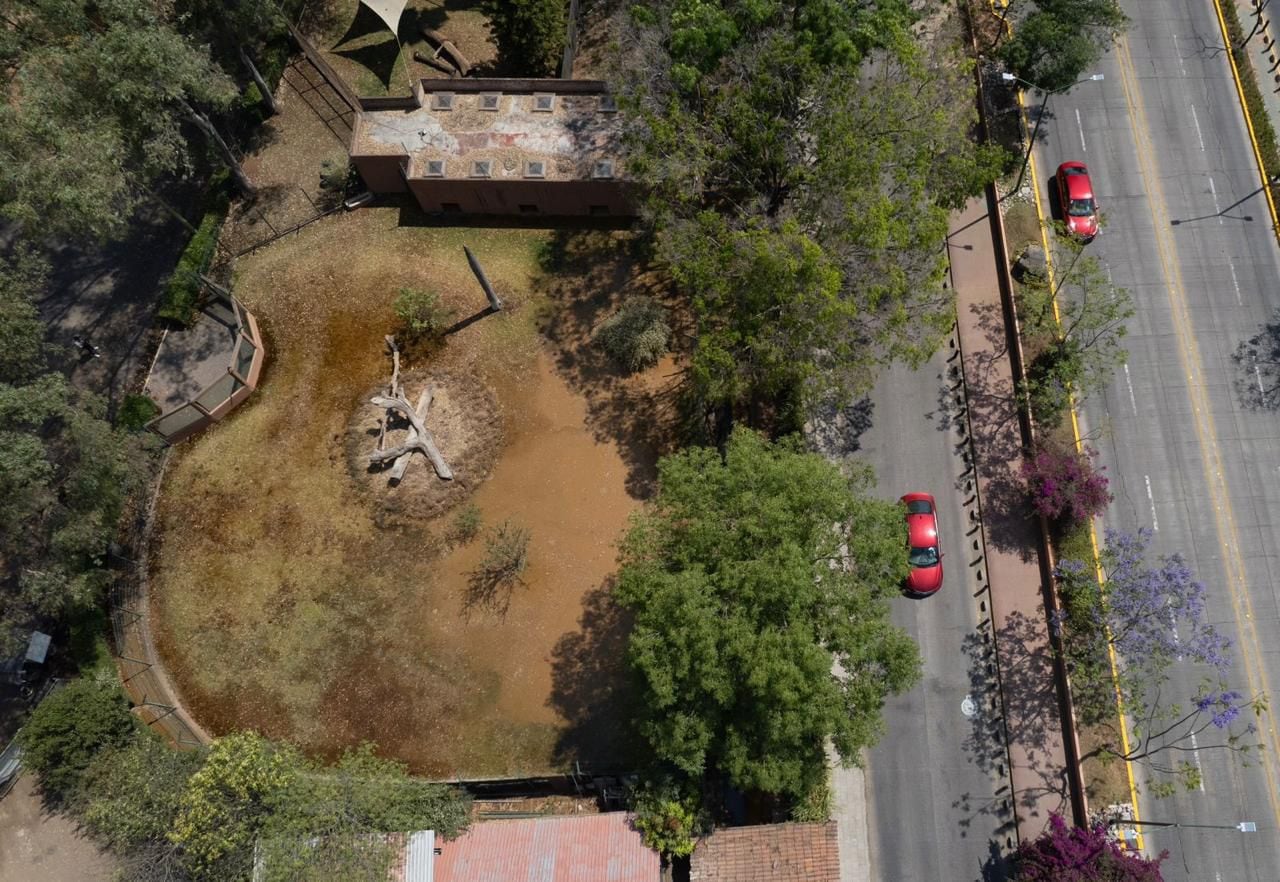 Agua contaminada en Zoológico de Morelia