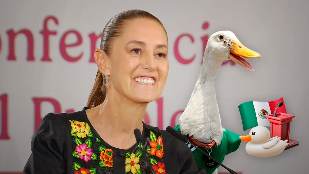 Del Mundial a Palacio Nacional: Sheinbaum invitará al Pato Merlín a la mañanera
