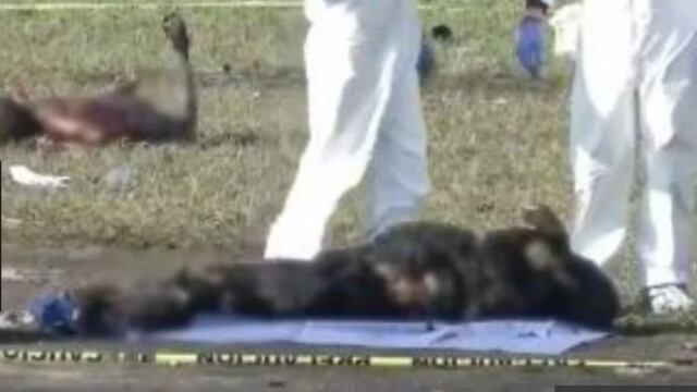 El hecho tiene muchas explicaciones y desde luego una de ellas se inserta en el programa actual del gobierno de AMLO para erradicar ese sector de corrupción que tanto ha saqueado al país.