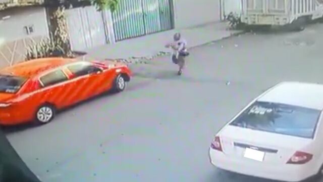 Familia se roba a perro pug en Nezahualcóyotl