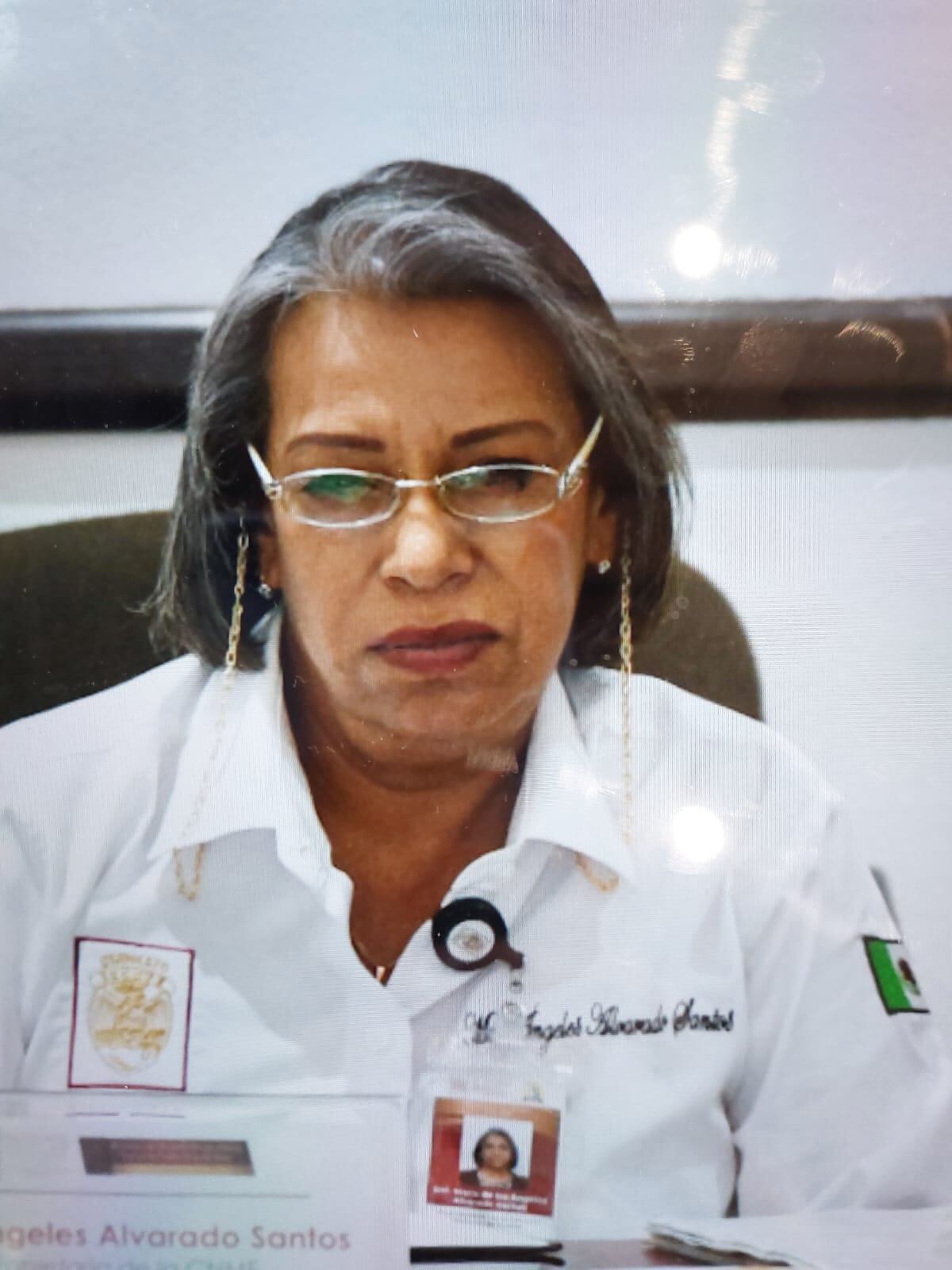 María de los Ángeles Alvarado Santos, vicepresidenta de la comisión nacional de auxilios