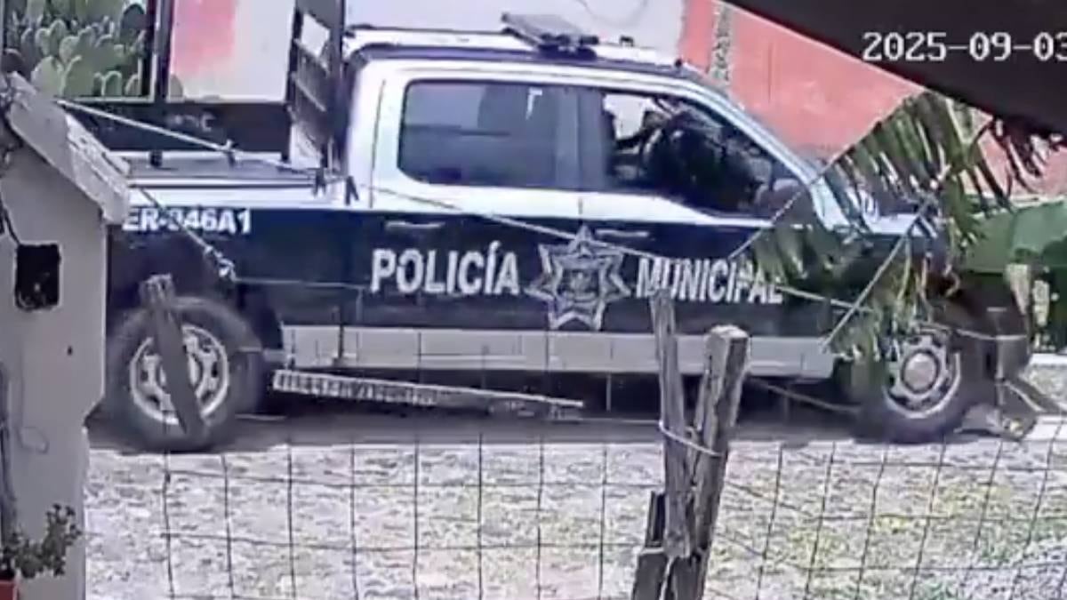 Indignación por muerte de un perro atropellado por policías en San Juan del Río