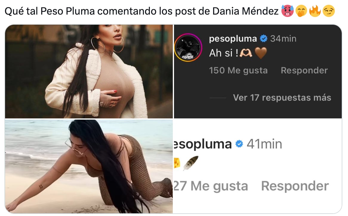 Pruebas revelarían un supuesto romance entre Dania Méndez y Peso Pluma