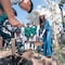 Libia Dennise García encabeza jornada de reforestación por el Día Mundial del Árbol