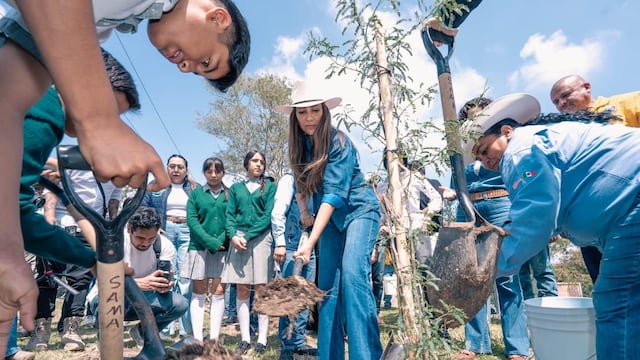 Libia Dennise entrega obras, apoyos al campo y encabeza jornada de reforestación en Abasolo.