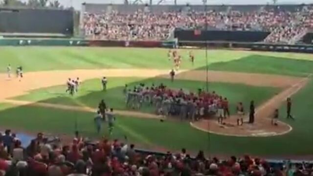 Jugadores protagonizaron brutal campal en el duelo entre Diablos Rojos y Tigres.