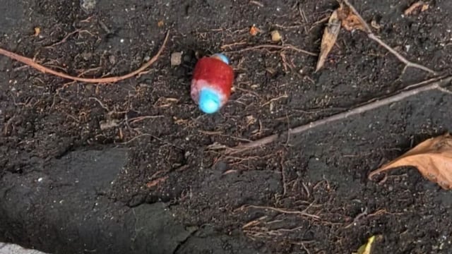 Metomilo: qué es y qué efectos provoca este insecticida tóxico