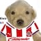 Clásico Tapatío: Los mejores memes del pase a semis del Club Chivas y la eliminación del Atlas FC