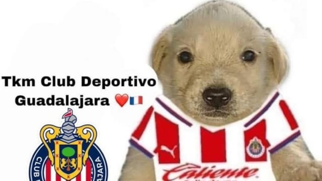 Memes Clásico Tapatío.