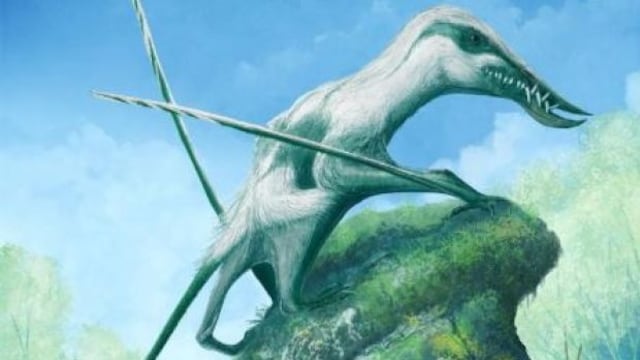 Pterosaurio