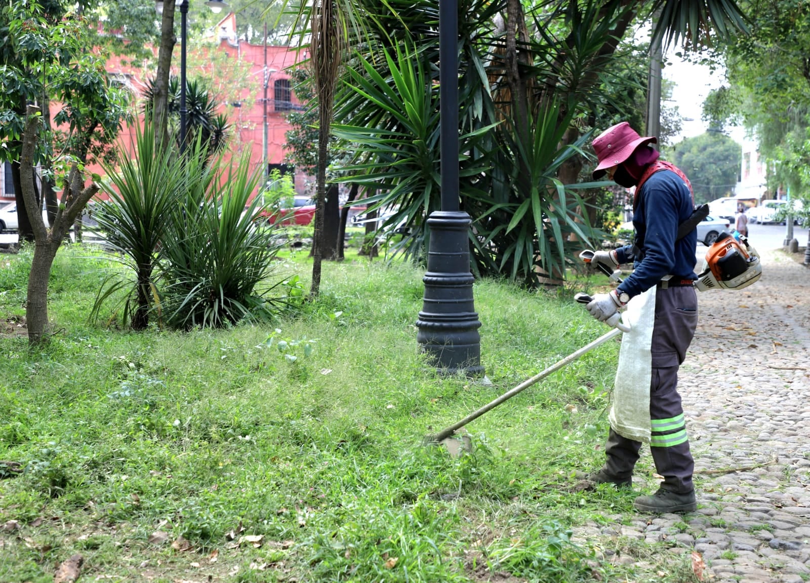 Rehabilitan histórica Plaza de la Conchita en Coyoacán sin alterar su identidad.