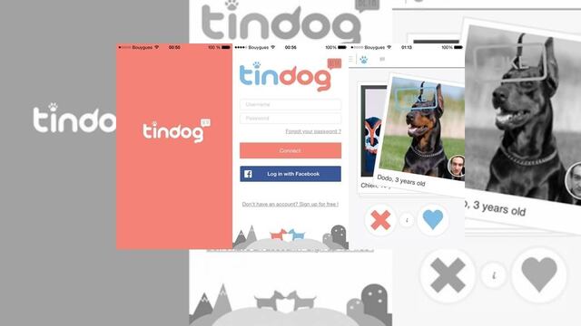 Tindog, el Tinder de los perros
