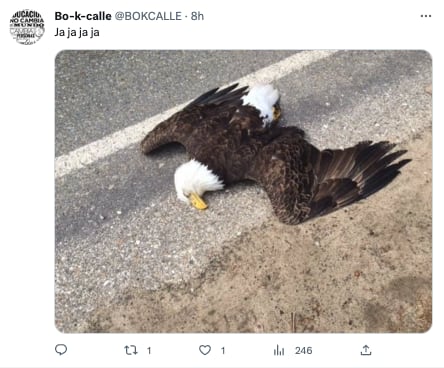 Se burlan de Sandra Cuevas por apoyar al América