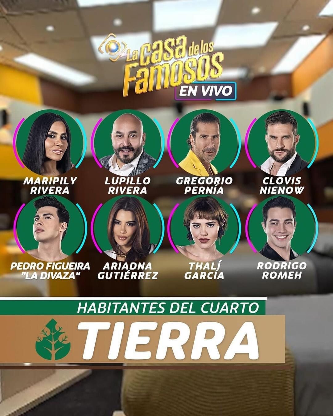 Así está conformado el cuarto Tierra