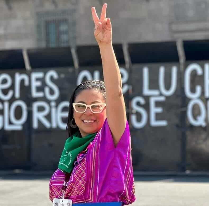 Erika Vanessa del Castillo Ibarra, diputada de Morena